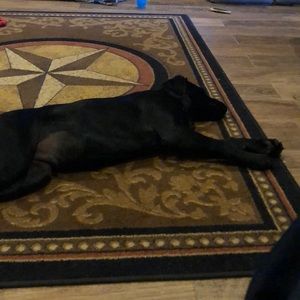 Meet your Posher, Gerry